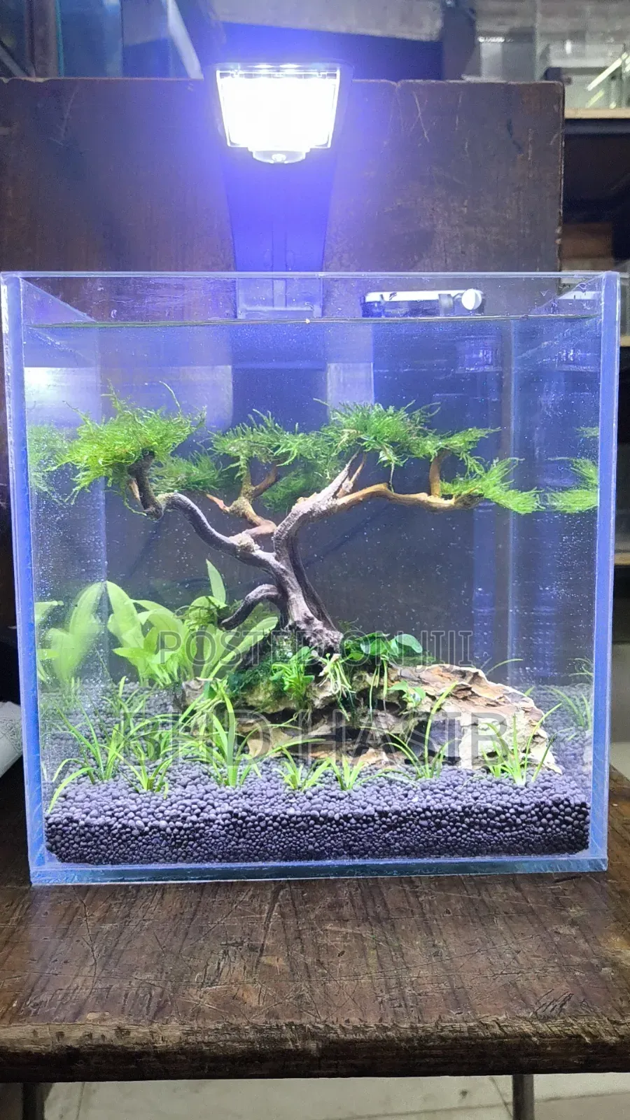 Everything for your Aquarium