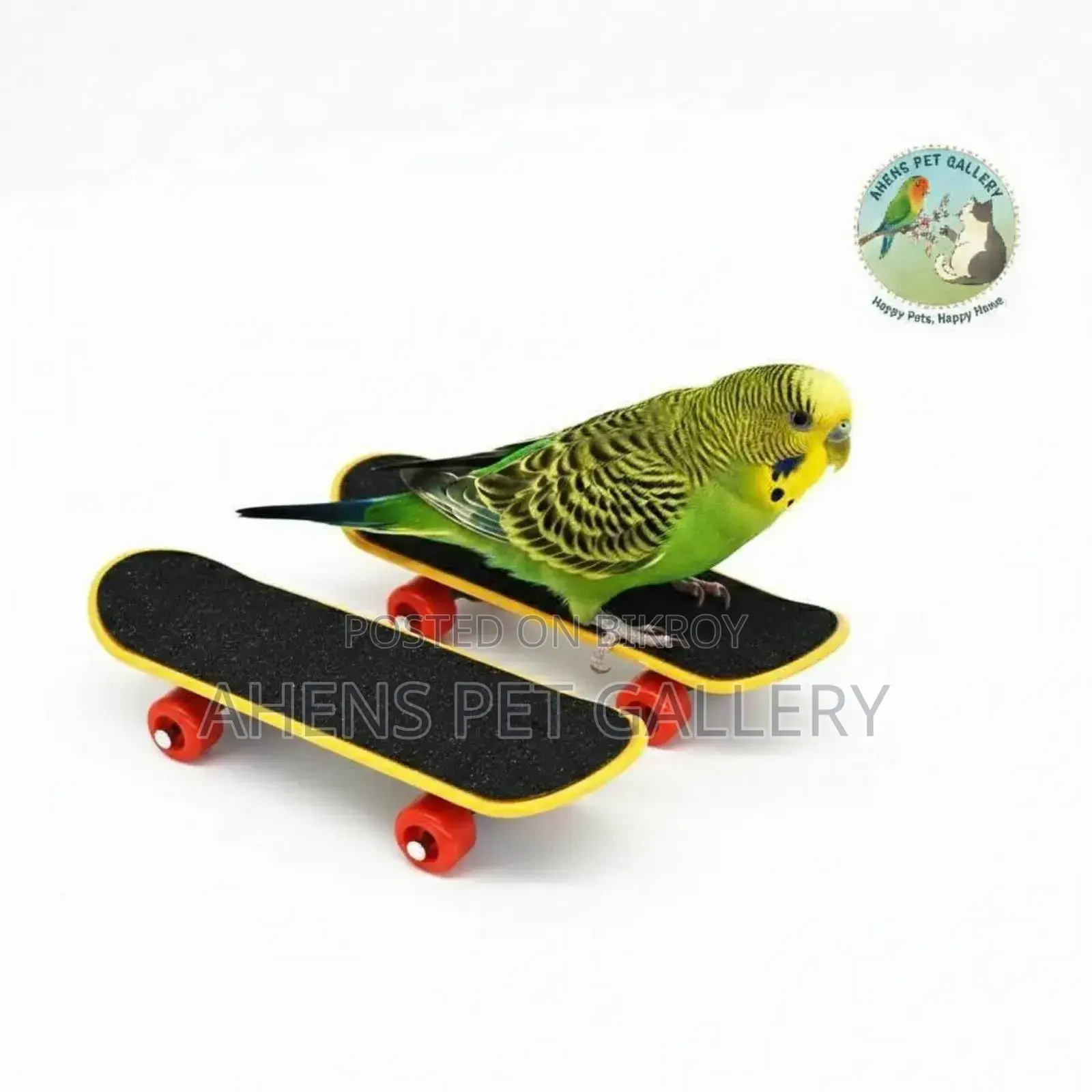Parrot Skateboard Interactive Toy