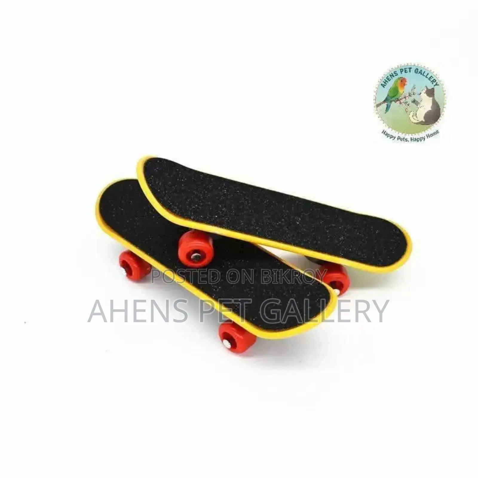 Parrot Skateboard Interactive Toy