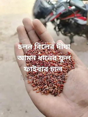 Fiber-rich Aman Red Rice Now Only 1950 Taka for 25kg