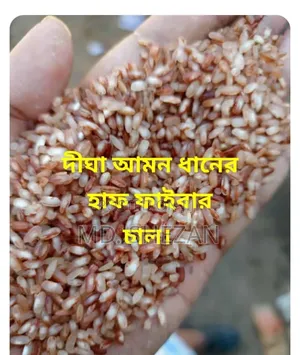 Fiber-rich Aman Red Rice Now Only 1950 Taka for 25kg