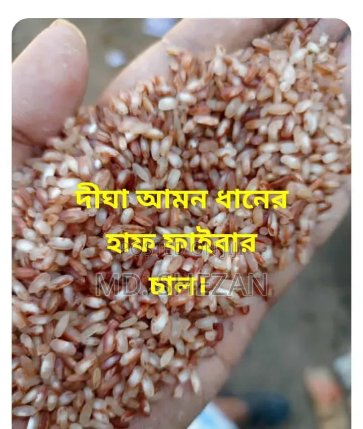 Fiber-rich Aman Red Rice Now Only 1950 Taka for 25kg