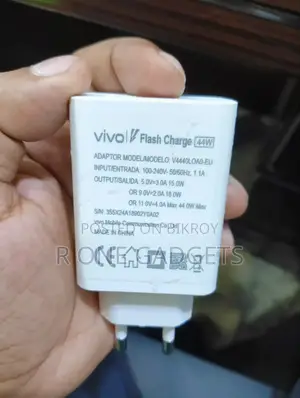 Vivo 44 Watt Flash Charger