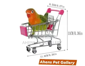 Bird's Interactive Shopping Cart Toy