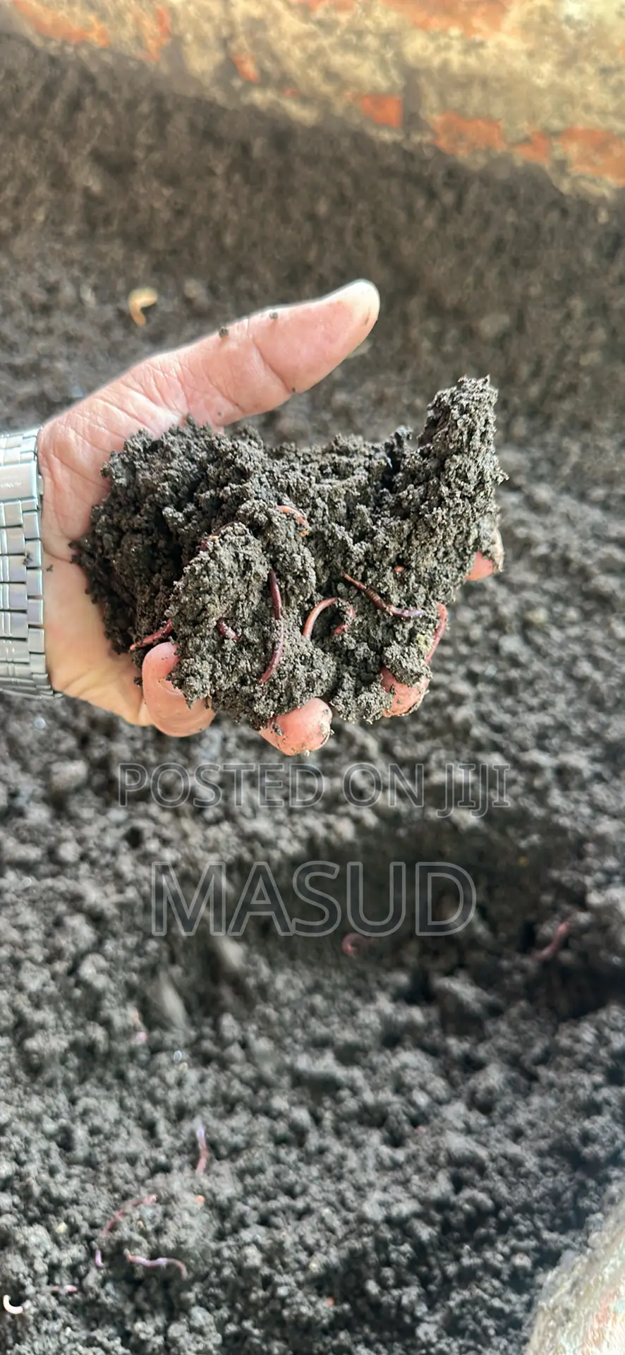 Vermicompost / Earthworm Fertilizer