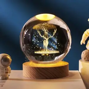 Dolphin Crystal Ball Night Lamp – Romantic LED Light