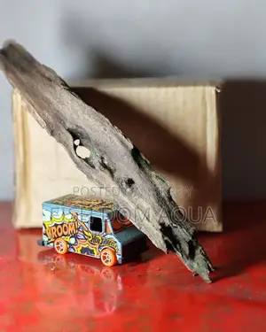 Drift Wood