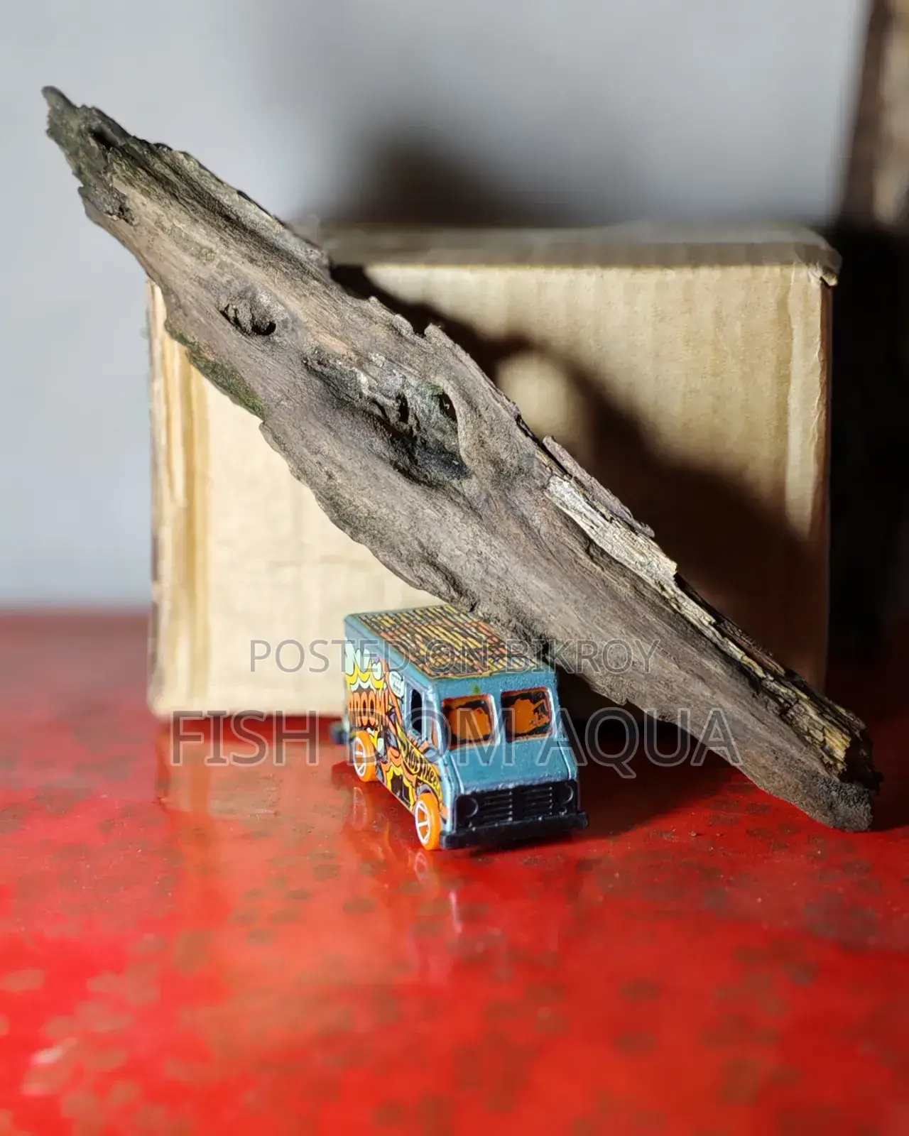 Drift Wood