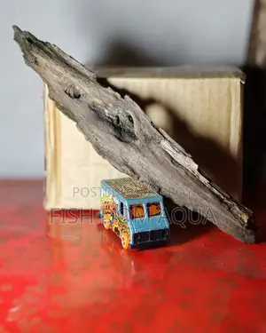 Drift Wood