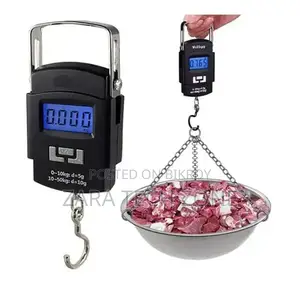 Portable Weight Scale (50kg)