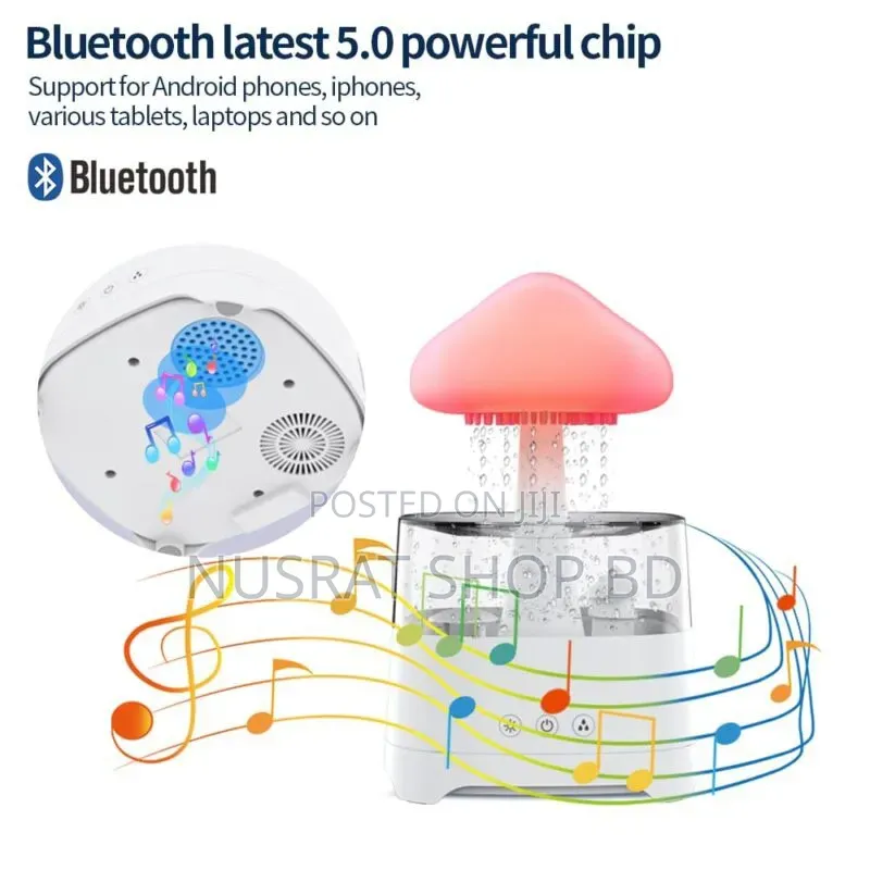 5 in 1 Bluetooth Speaker Rain Cloud Humidifier, Code: 5868