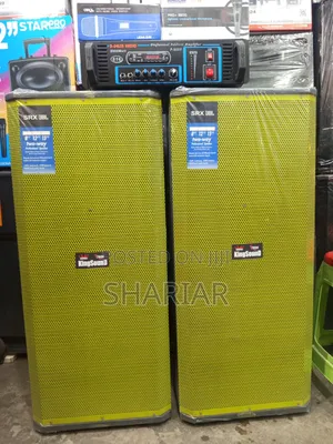 Model: G16, 16 Inch Speaker Box and Amplifier. With Mics.