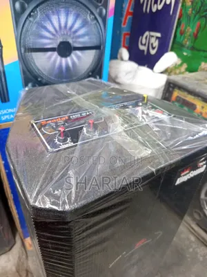 Model: B12d, 12" Chinese Speaker Box Attached to an Amplifier.