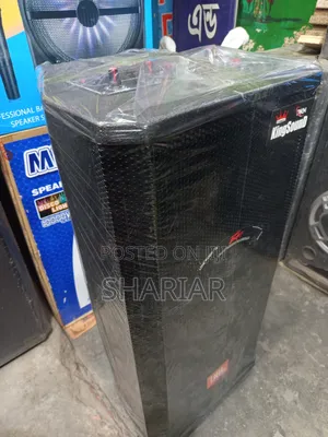 Model: B12d, 12" Chinese Speaker Box Attached to an Amplifier.