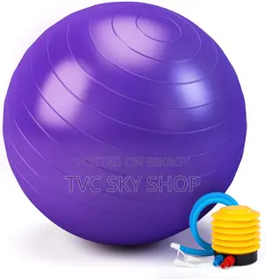 Gym Ball Plain – Blue 75CM With Pumper