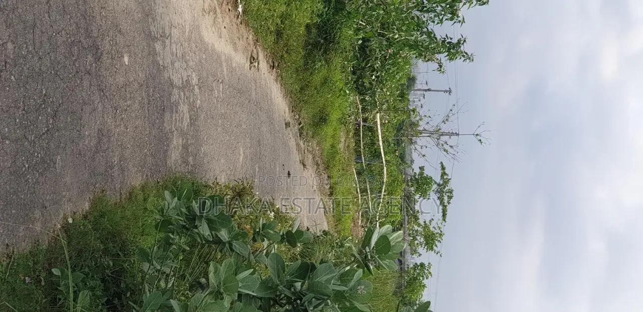 15 Block C