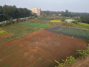 Purchase 15 Katha of Land with Cash or a Five-Year Installment Plan