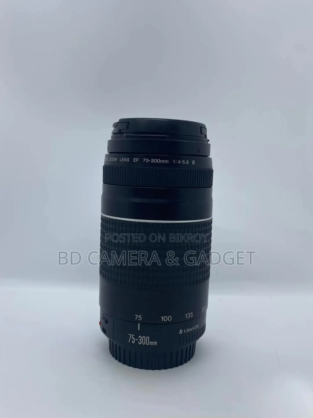Canon 75-300 Zoom Lens