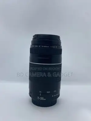 Canon 75-300 Zoom Lens