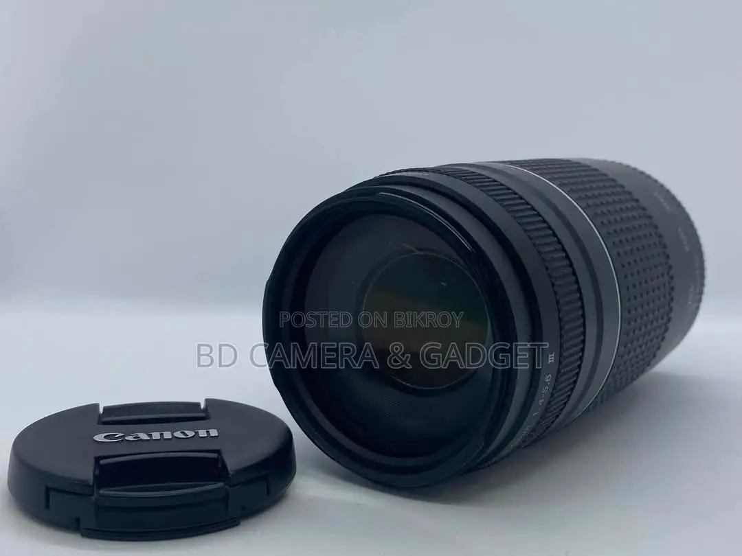Canon 75-300 Zoom Lens