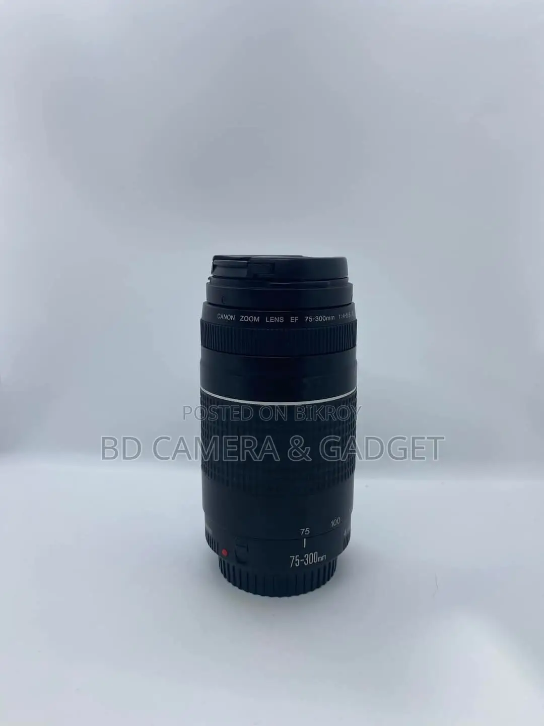 Canon 75-300 Zoom Lens