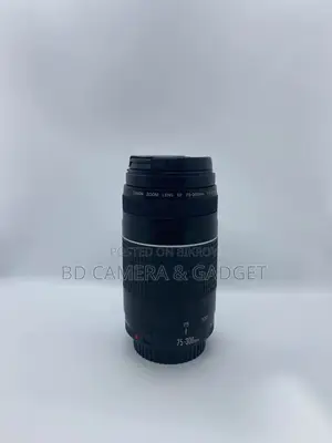 Canon 75-300 Zoom Lens