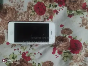 Apple iPhone 5S . (Used)