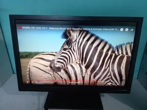 HP Monitor 19 inch LED