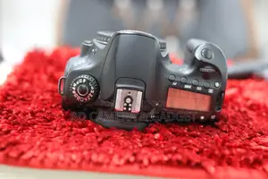 Canon 60D body