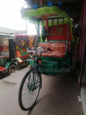 Model - 1006_ Disabled Rickshaw - With Wiring