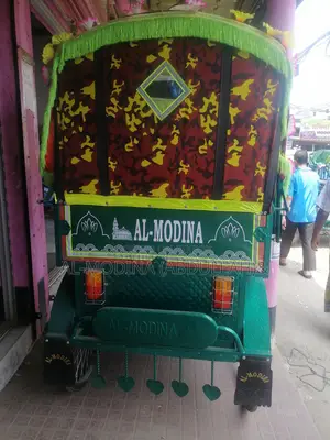 Model - 1006_ Disabled Rickshaw - With Wiring