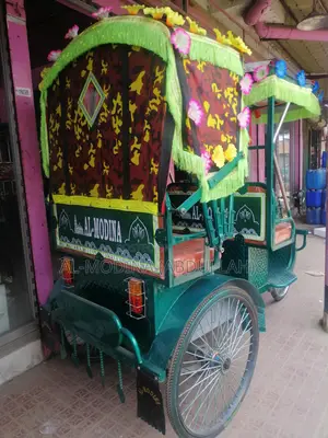 Model - 1006_ Disabled Rickshaw - With Wiring