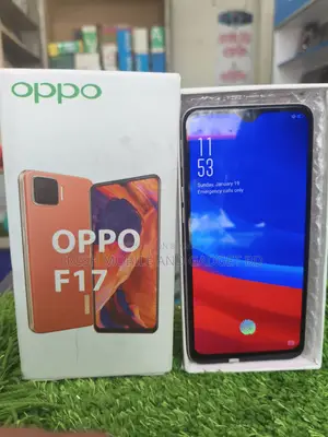 OPPO F17 8/256 (New)
