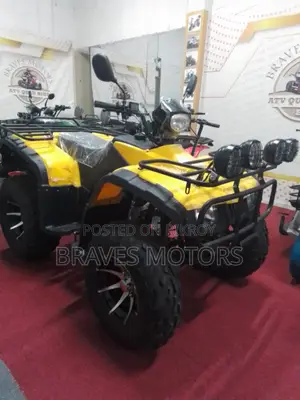 Bike 2024