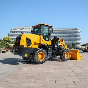 Sinocat 2 Ton Wheel Loader
