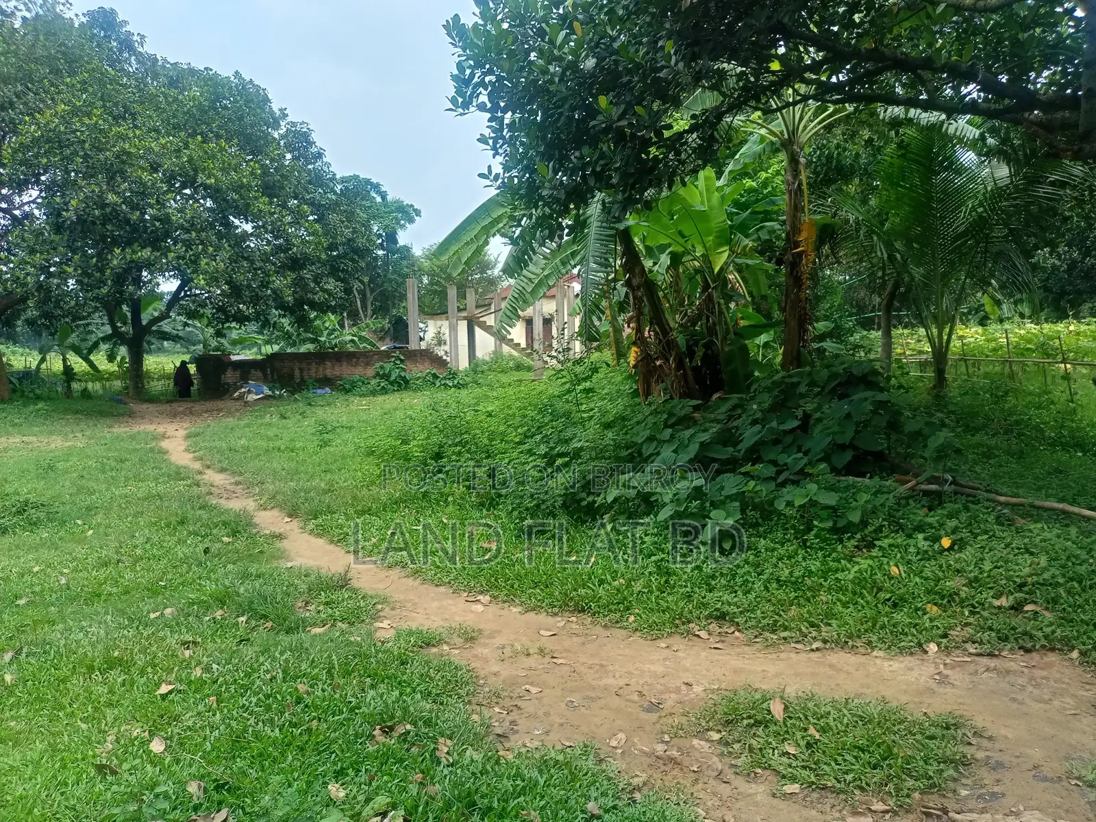 Buy Land (3/5/10 Katha) with Cash or 5-Year Installment