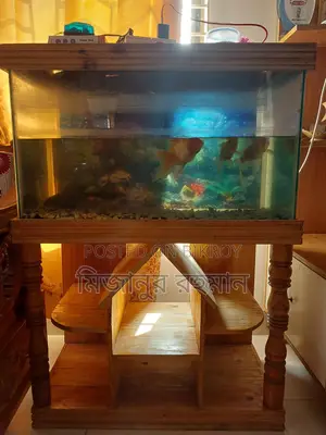 অ্যাকুরিয়ামটি বিক্রি হবে