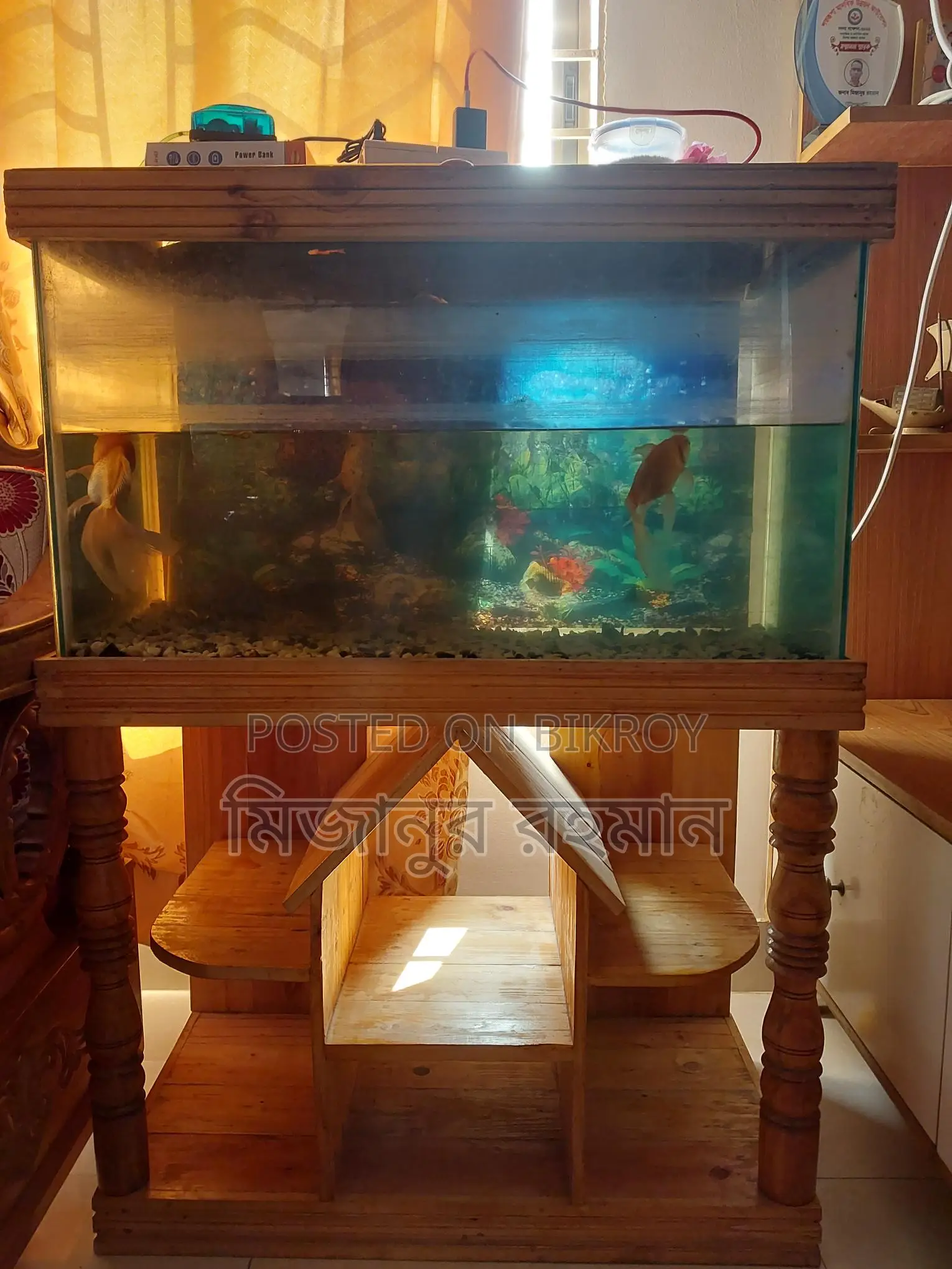অ্যাকুরিয়ামটি বিক্রি হবে