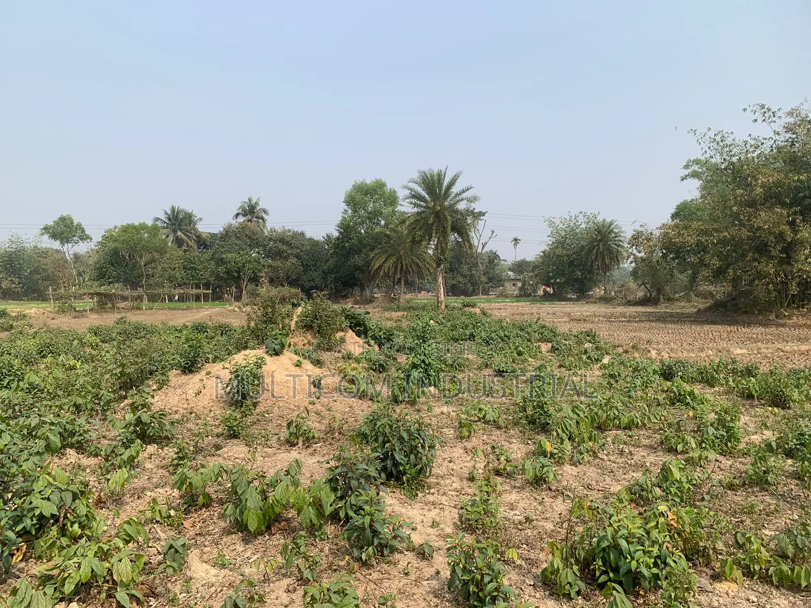 86,000 sqft land for rent, total – 210 decimals, 6 Bigah