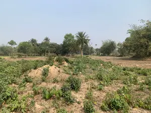 ৮৬০০০ স্কয়ারফিট জমি ভাড়া, মোট – ২১০ শতক, ৬ বিঘা