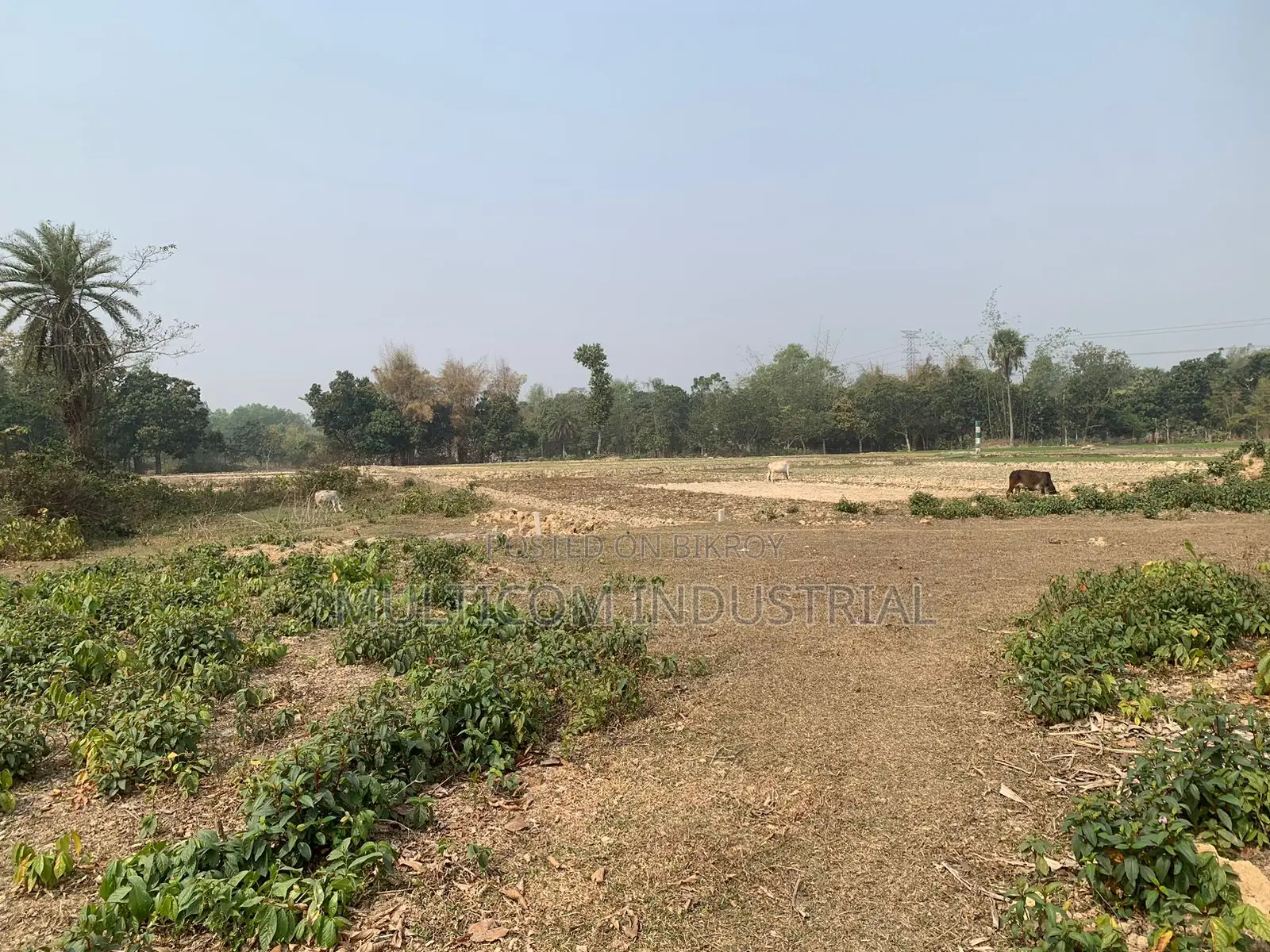 86,000 sqft land for rent, total – 210 decimals, 6 Bigah