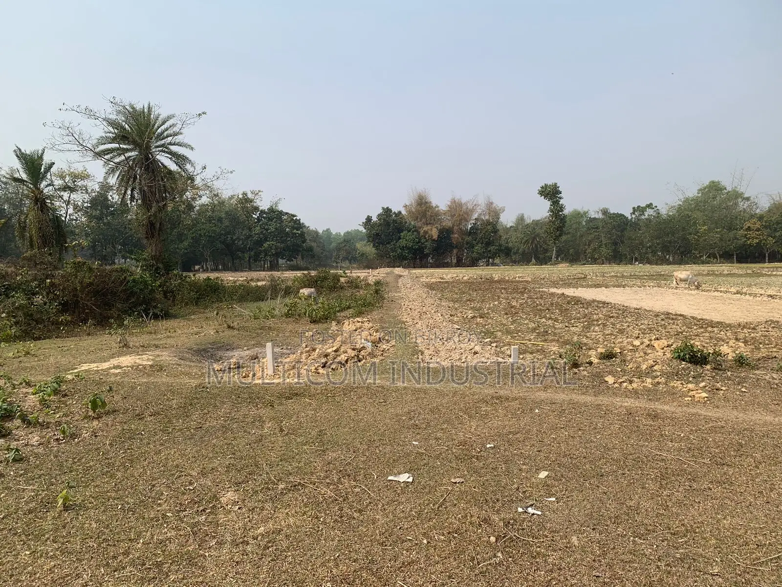 86,000 sqft land for rent, total – 210 decimals, 6 Bigah