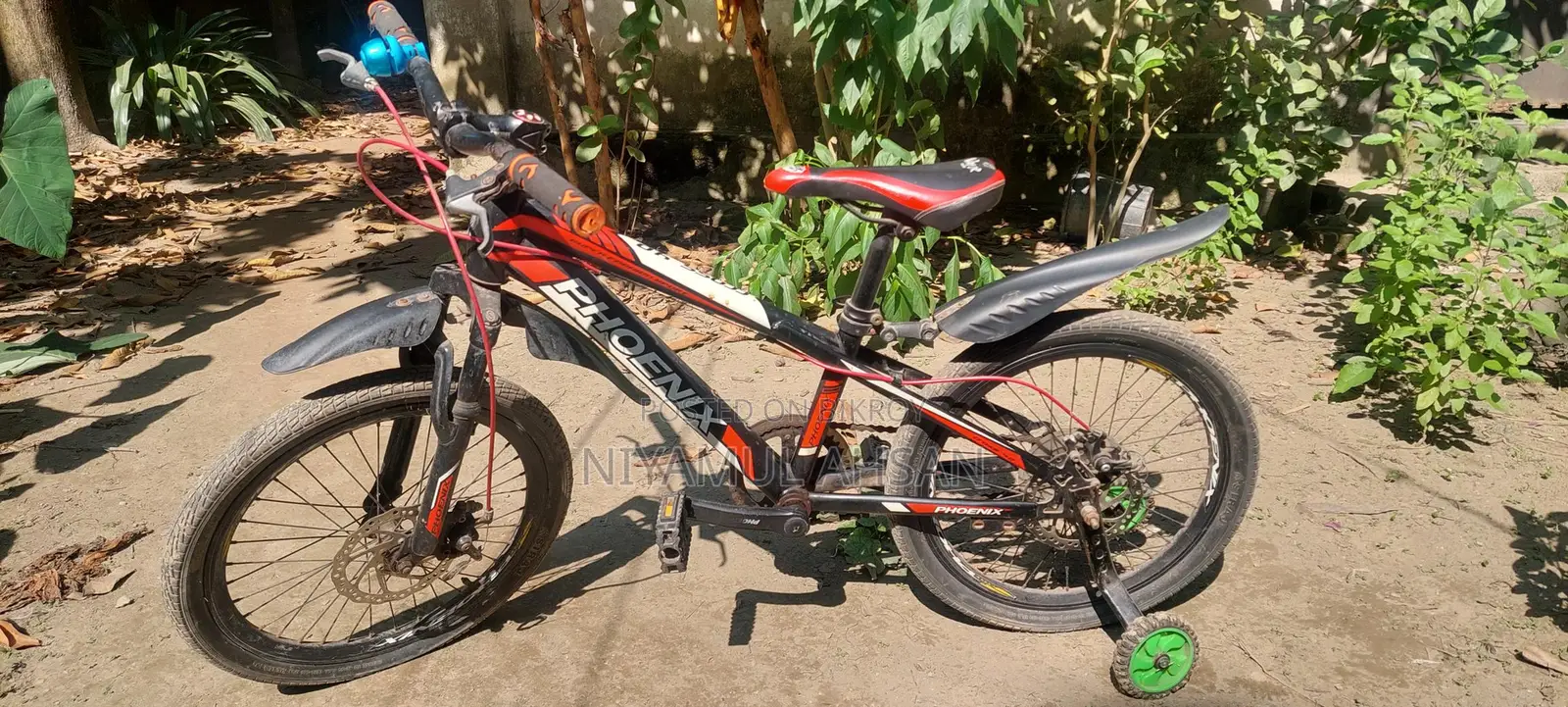 Phoenix Bicycle black
