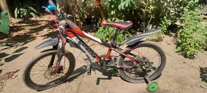 Phoenix Bicycle black