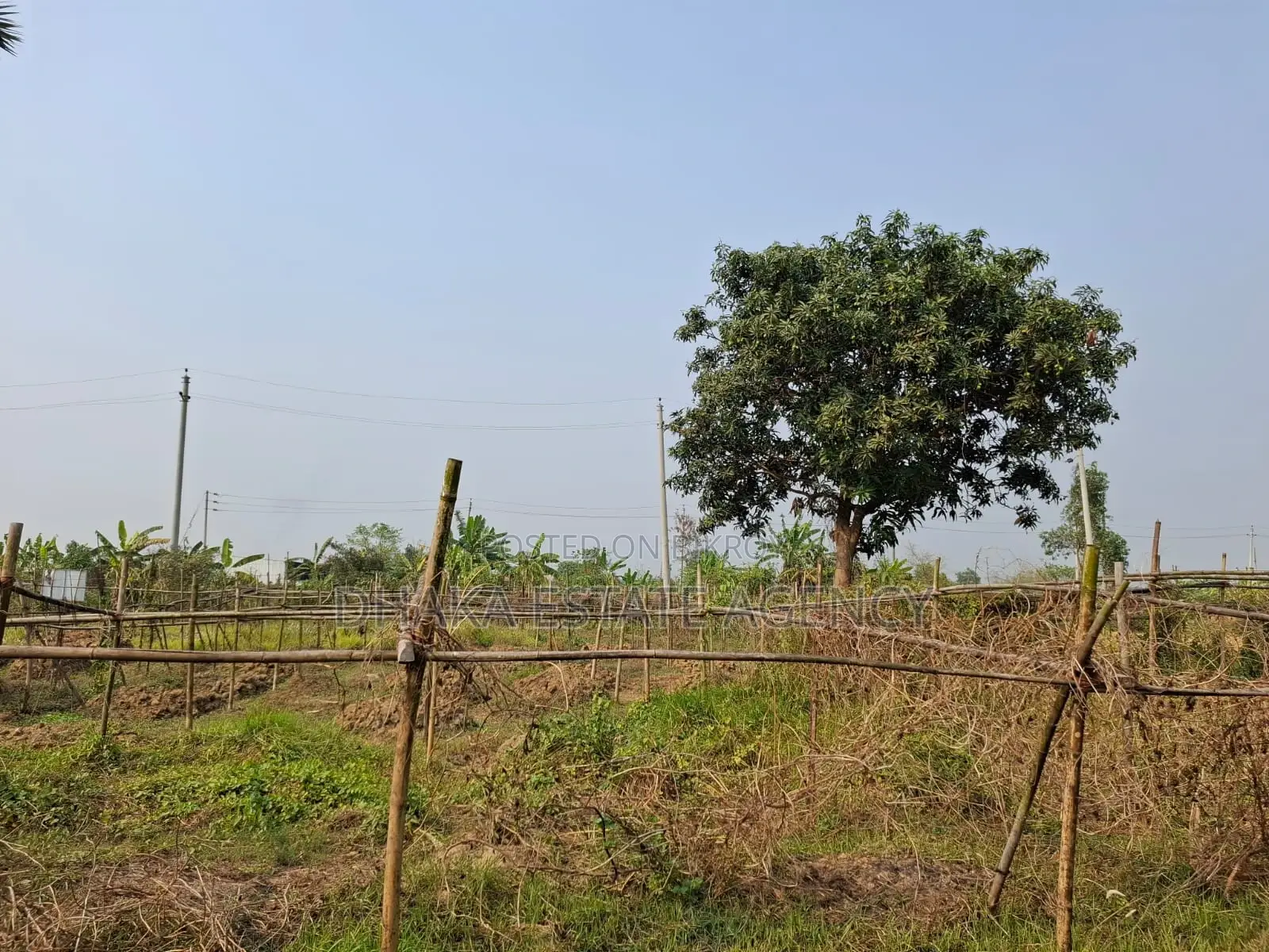 RAJUK PURBACHAL SECTOR 23 LAND 3 KATHA