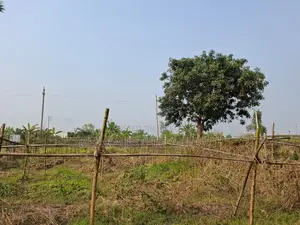 RAJUK PURBACHAL SECTOR 23 LAND 3 KATHA