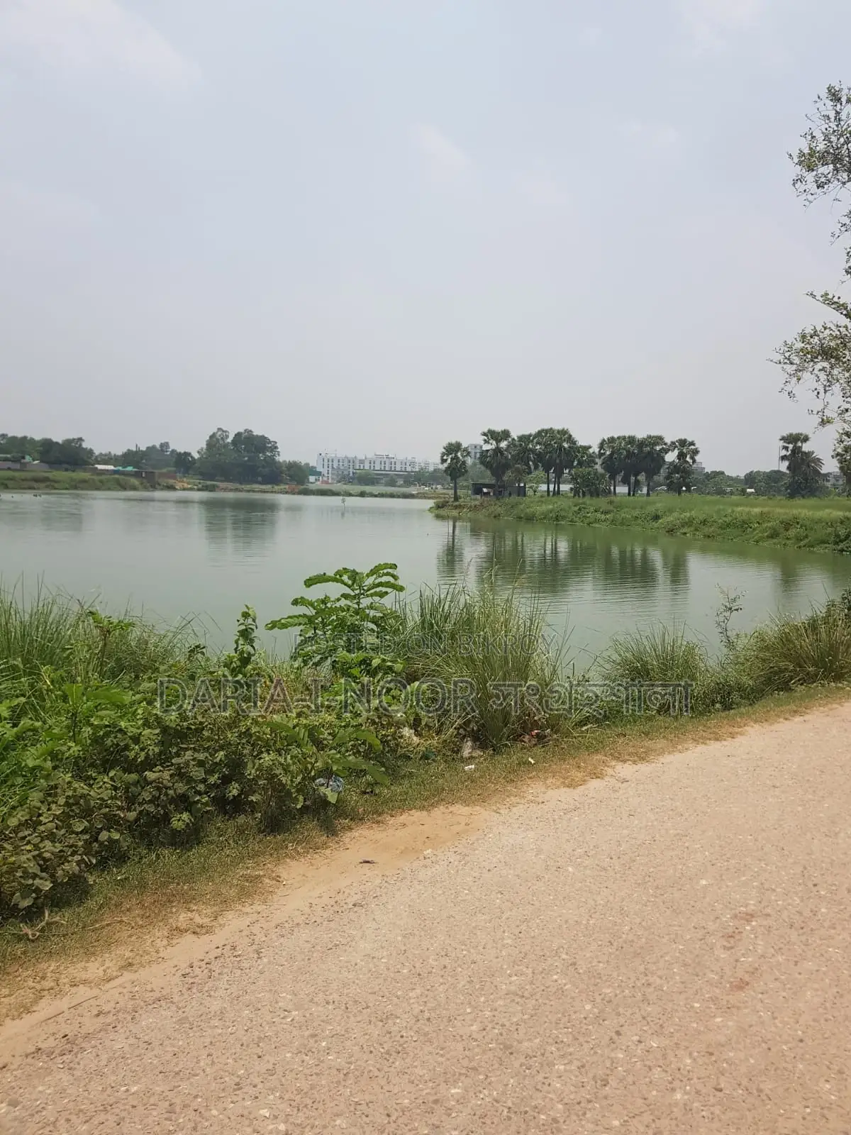 36 Bigha land for sale in one plot near Smriti Soudho, Dhaka-Savar Highway