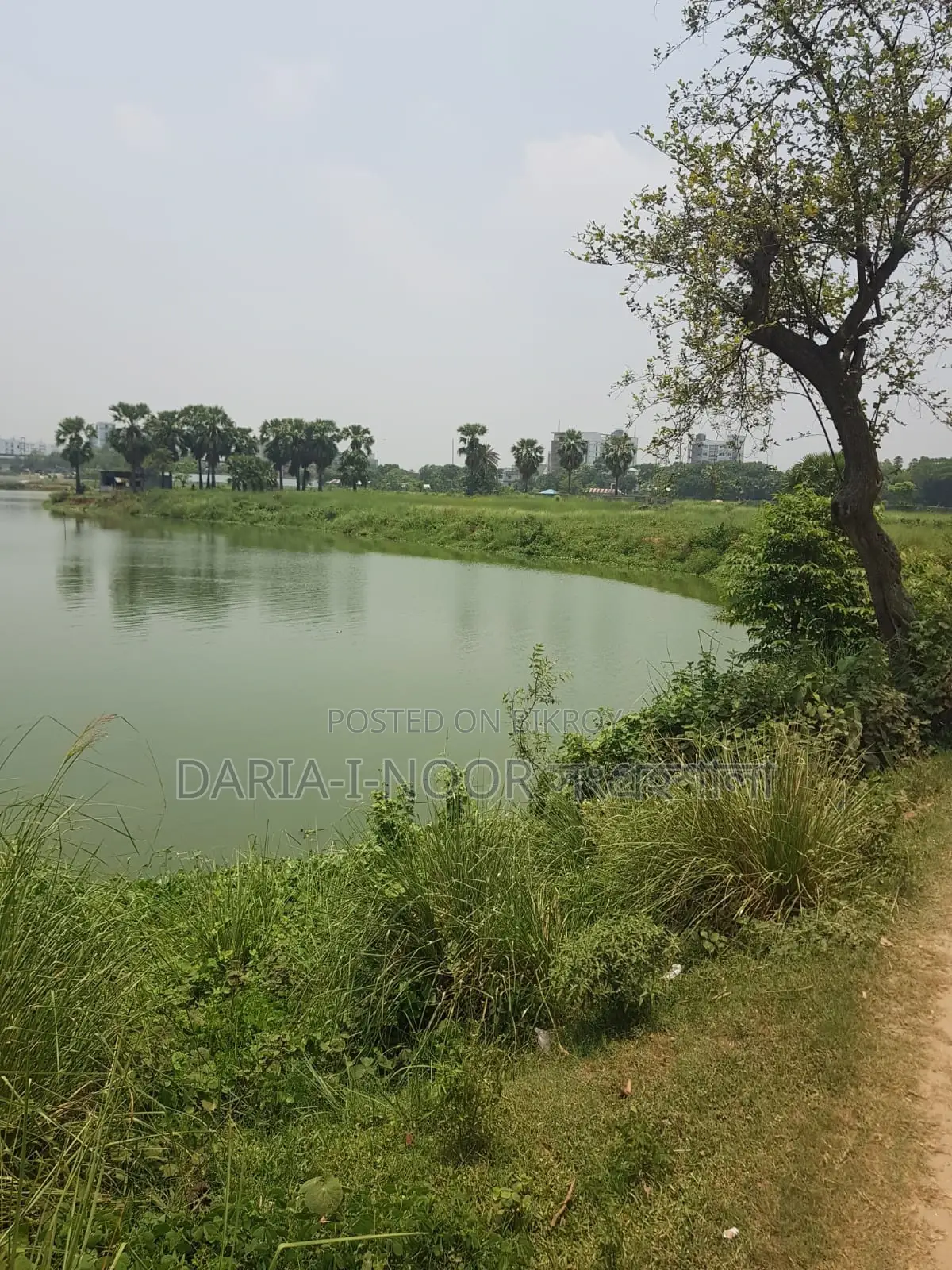 36 Bigha land for sale in one plot near Smriti Soudho, Dhaka-Savar Highway