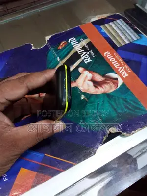 Samsung B313E Guru Music (Used)
