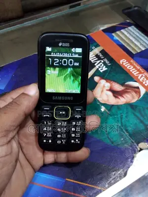 Samsung B313E Guru Music (Used)